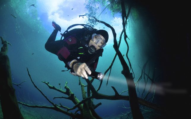 Buceo en Cenotes Buceo en Cenotes