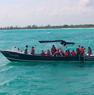 dive riviera maya 3